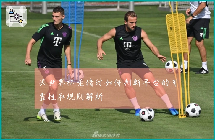 买世界杯竞猜时如何判断平台的可靠性和规则解析