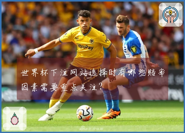 世界杯下注网站选择时有哪些赔率因素需要重点关注？
