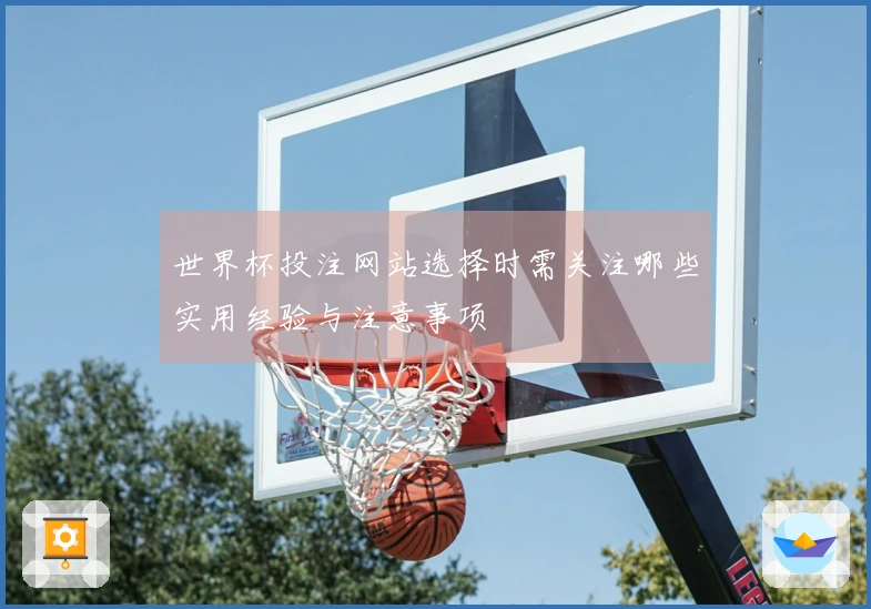世界杯投注网站选择时需关注哪些实用经验与注意事项