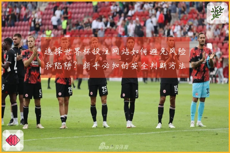 选择世界杯投注网站如何避免风险和陷阱？新手必知的安全判断方法