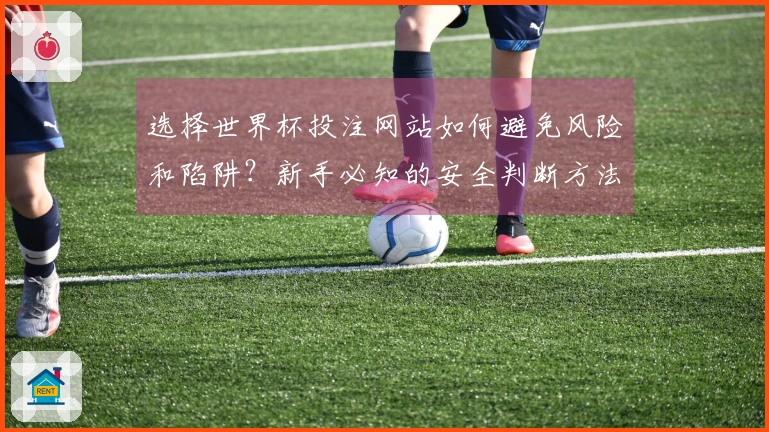 选择世界杯投注网站如何避免风险和陷阱？新手必知的安全判断方法
