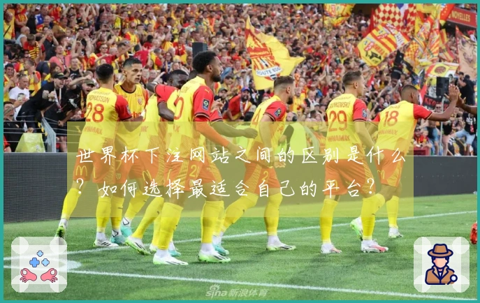 世界杯下注网站之间的区别是什么？如何选择最适合自己的平台？