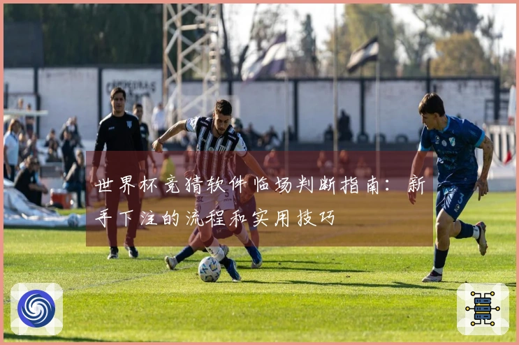 世界杯竞猜软件临场判断指南：新手下注的流程和实用技巧