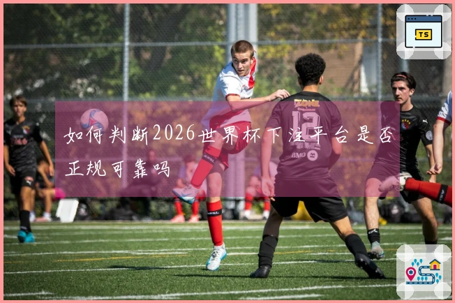 如何判断2026世界杯下注平台是否正规可靠吗