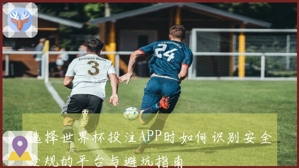 选择世界杯投注APP时如何识别安全合规的平台与避坑指南