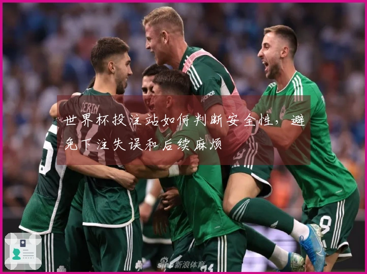 世界杯投注站如何判断安全性，避免下注失误和后续麻烦