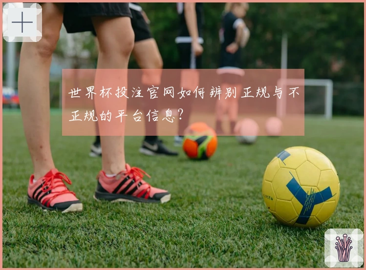 世界杯投注官网如何辨别正规与不正规的平台信息？