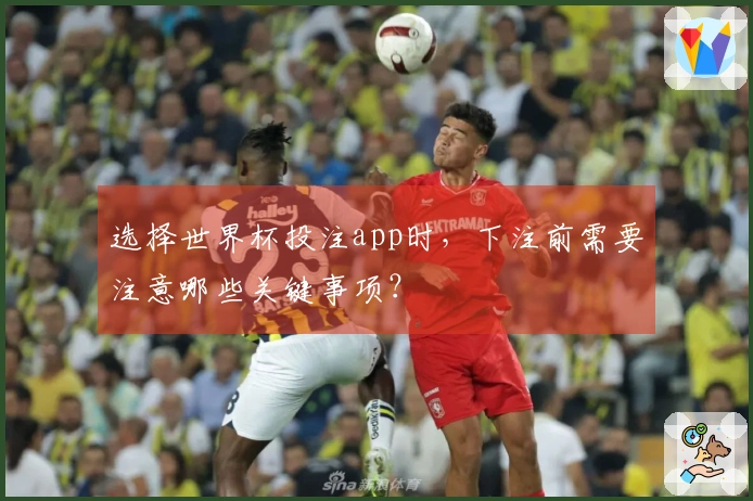 选择世界杯投注app时，下注前需要注意哪些关键事项？