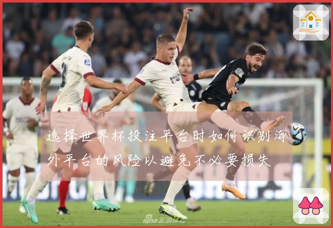 选择世界杯投注平台时如何识别海外平台的风险以避免不必要损失