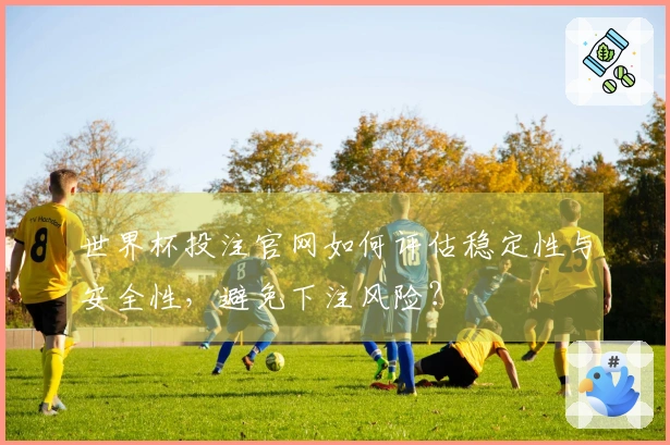 世界杯投注官网如何评估稳定性与安全性，避免下注风险？