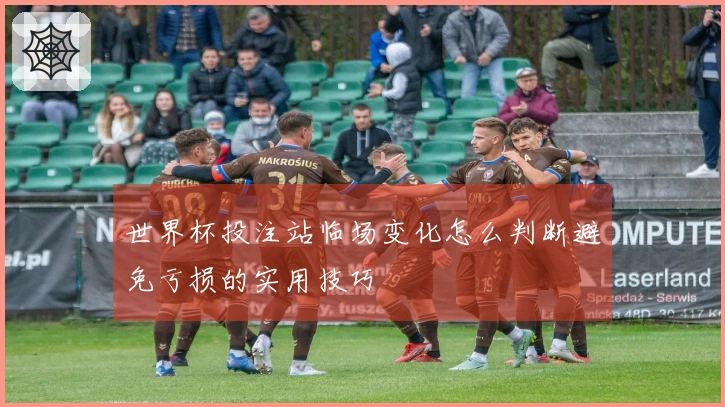 世界杯投注站临场变化怎么判断避免亏损的实用技巧