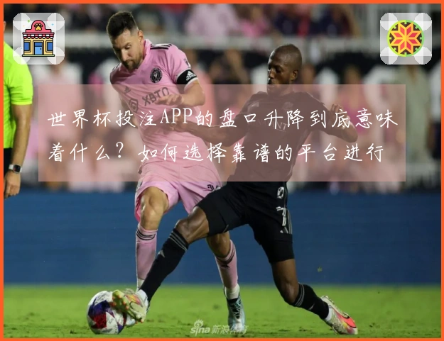 世界杯投注APP的盘口升降到底意味着什么？如何选择靠谱的平台进行投注？