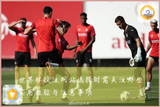 世界杯投注网站选择时需关注哪些实用经验与注意事项